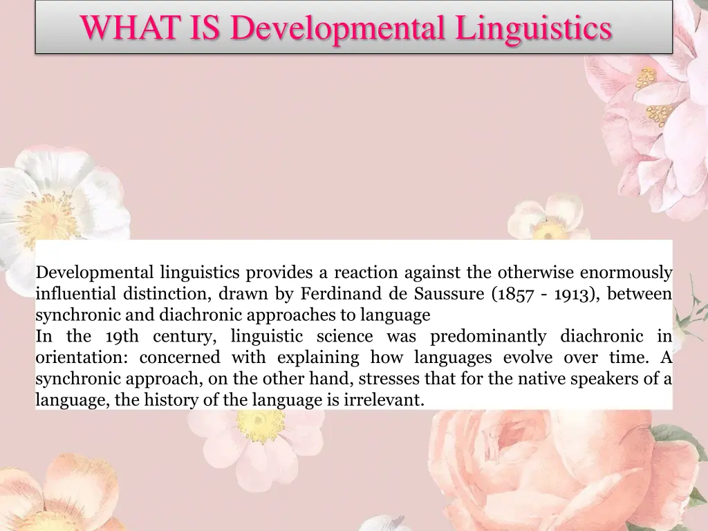 what is developmental linguistics
