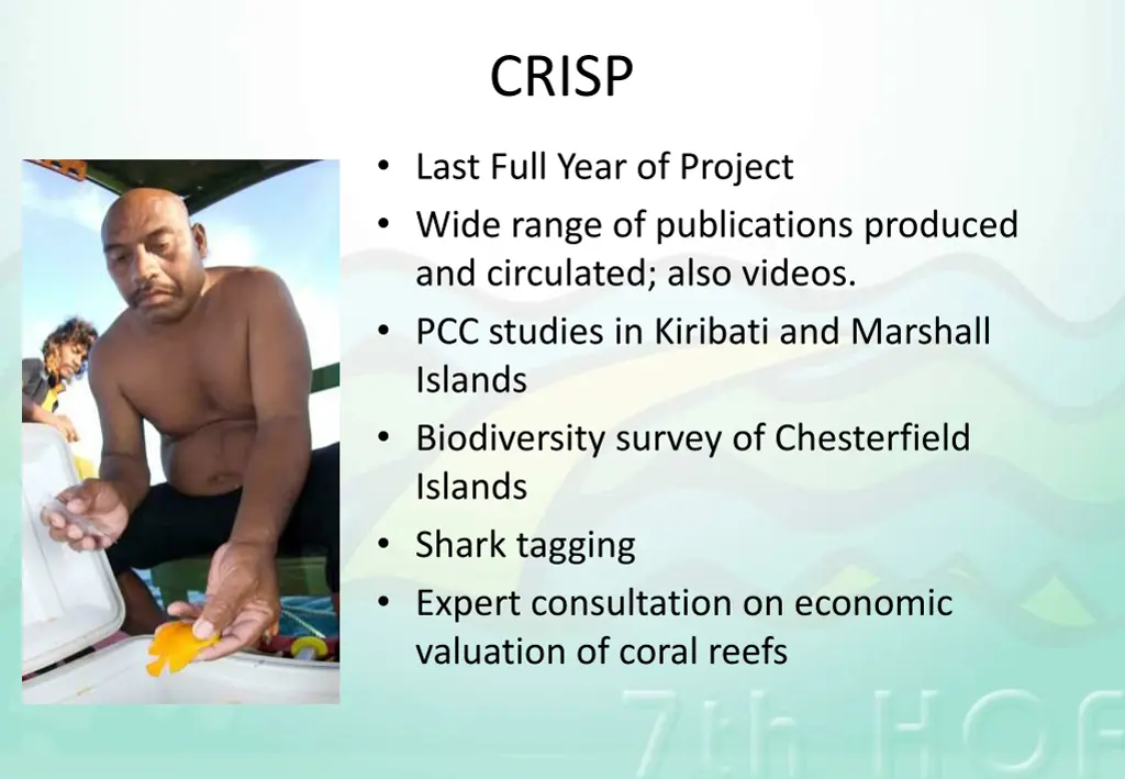 crisp