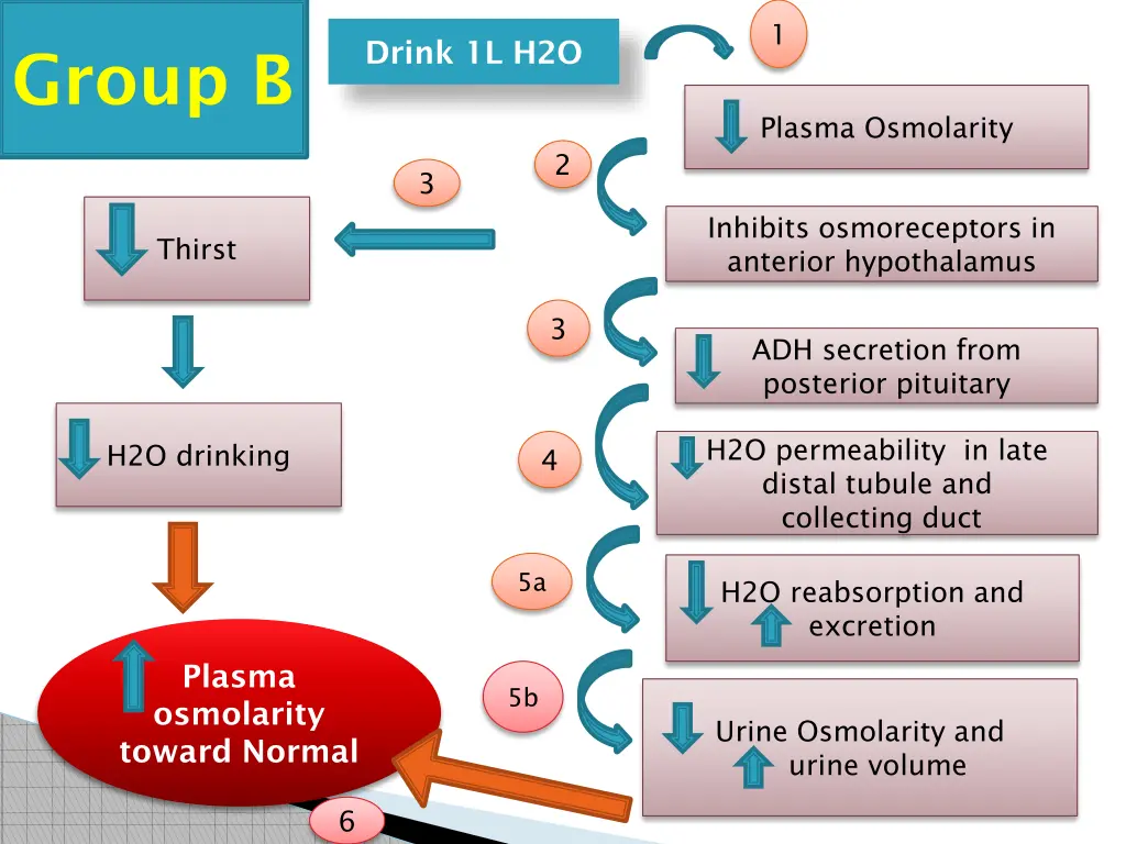 slide19