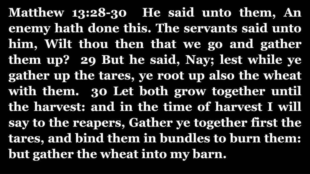 matthew 13 28 30 he said unto them an enemy hath