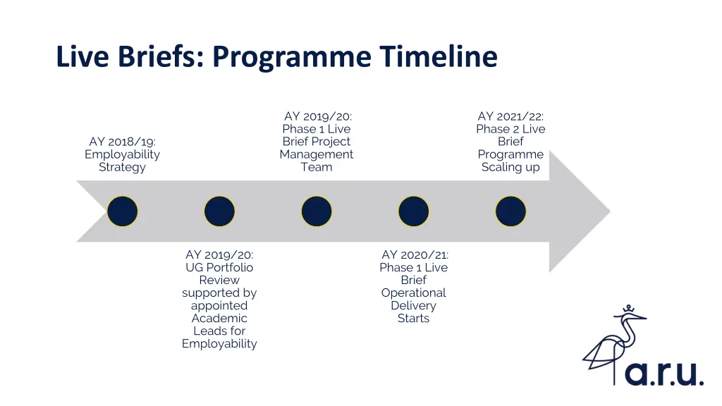 live briefs programme timeline