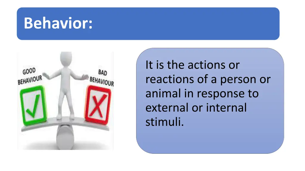 behavior