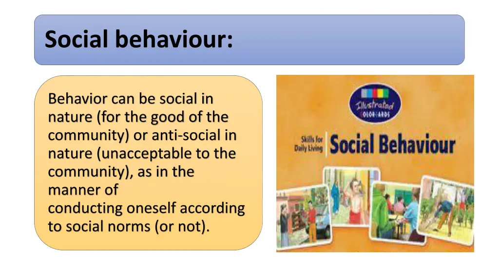 social behaviour