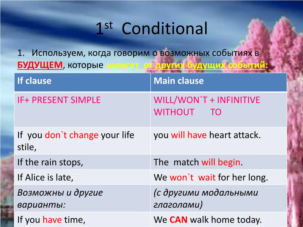 1 st conditional