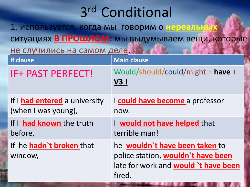 3 rd conditional