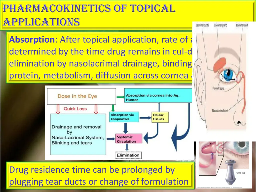 pharmacokinetics of topical applications