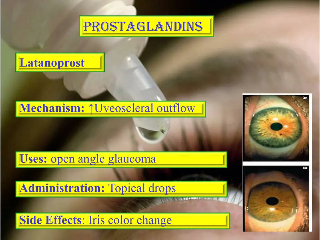prostaglandins