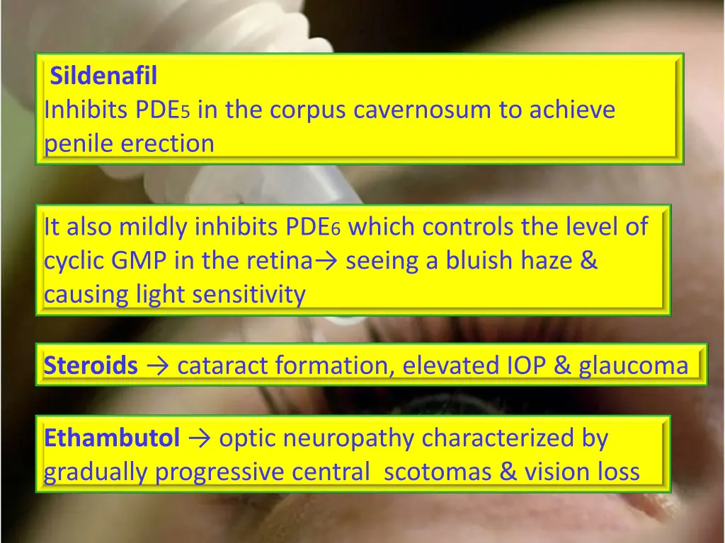 sildenafil inhibits pde 5 in the corpus