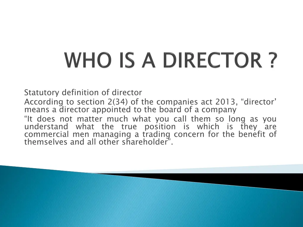 statutory definition of director according