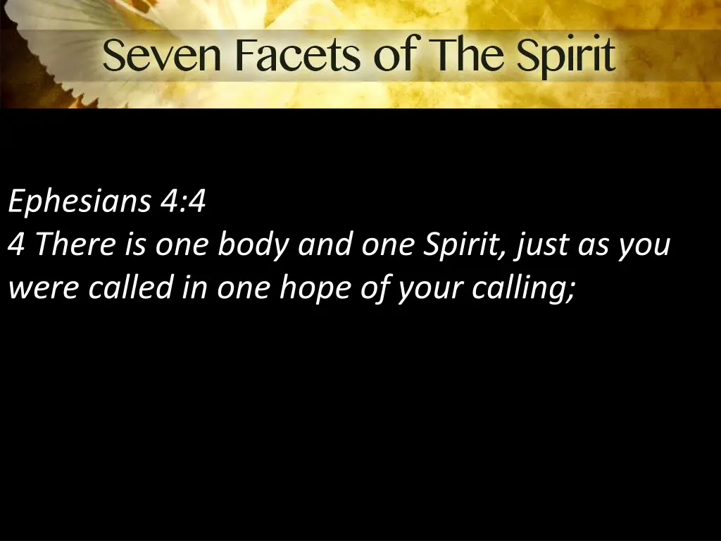 ephesians 4 4 4 there is one body and one spirit