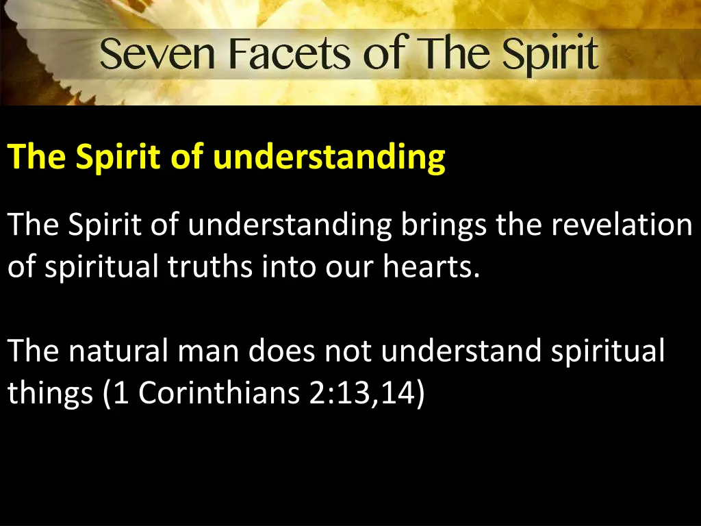 the spirit of understanding 1