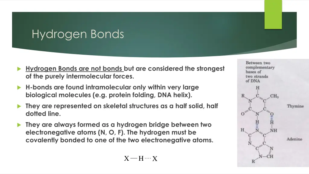 hydrogen bonds