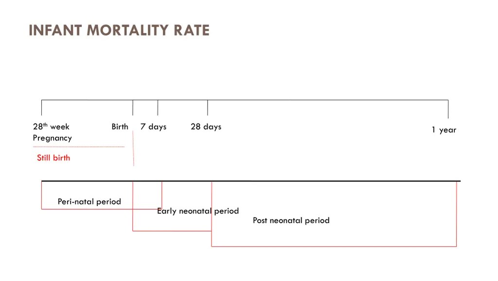 infant mortality rate