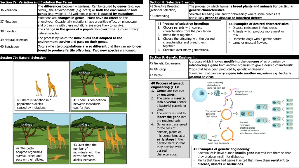 section 7a variation and evolution key terms