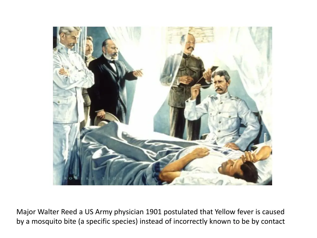 major walter reed a us army physician 1901