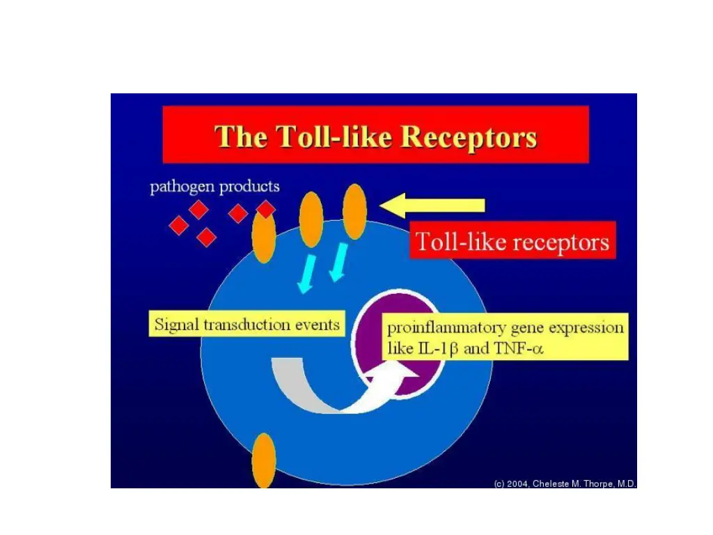 slide20