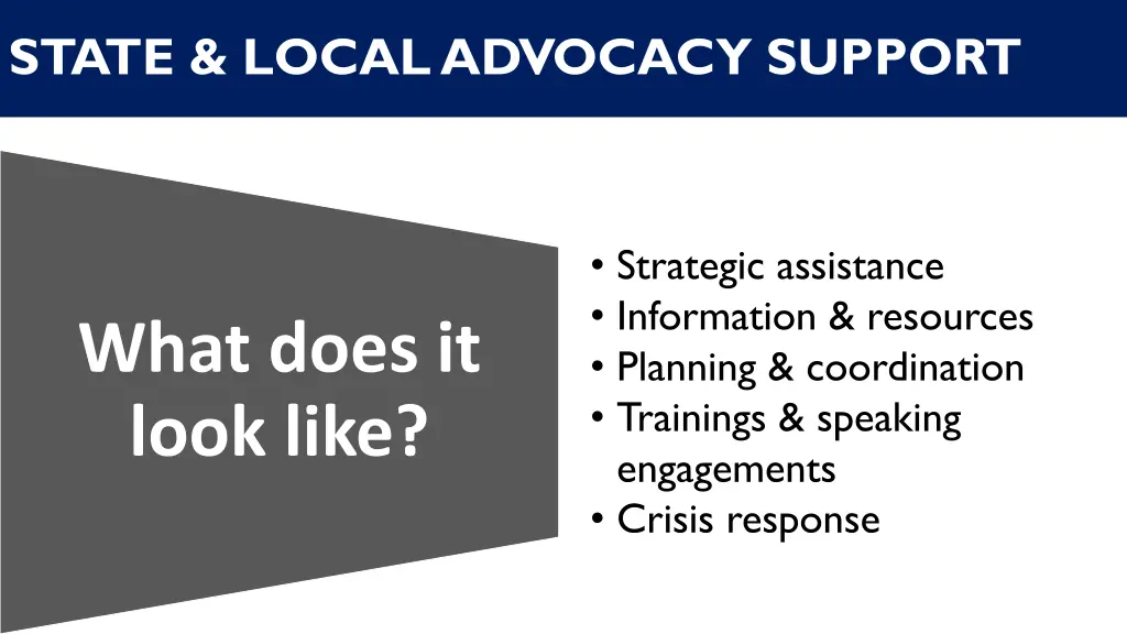state local advocacy support