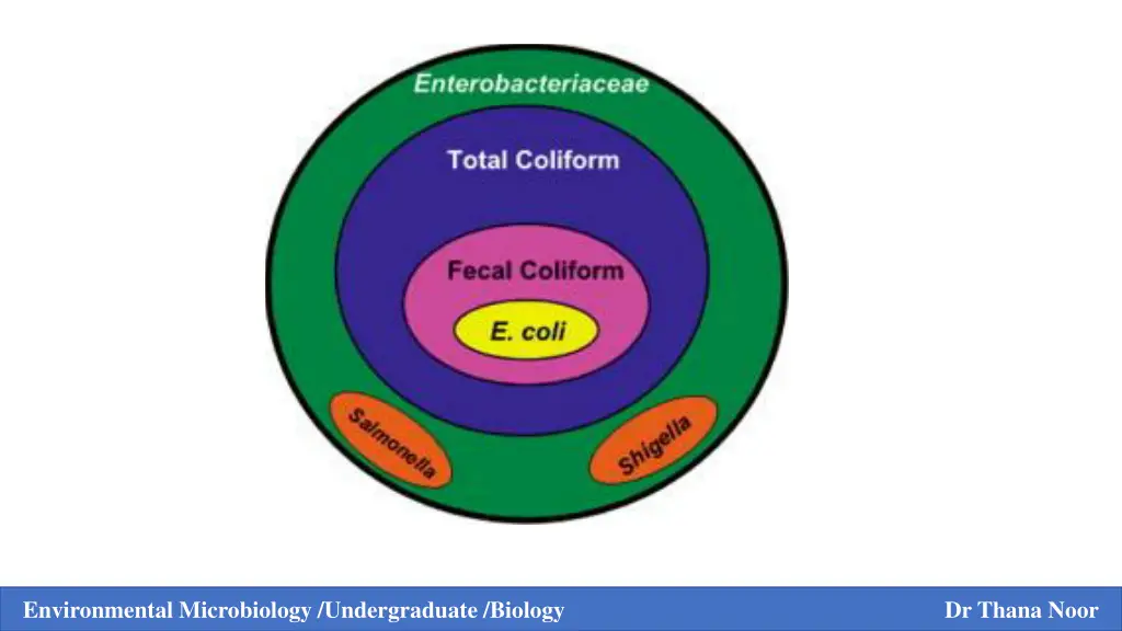 environmental microbiology undergraduate biology