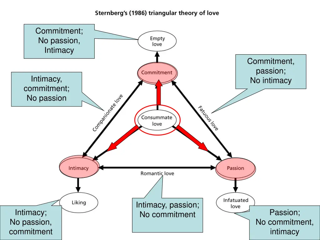 commitment no passion intimacy