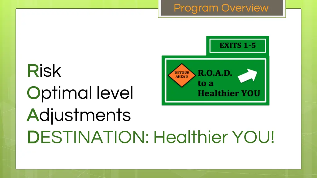 program overview