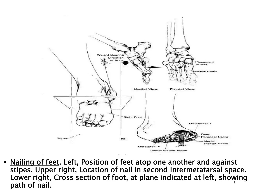 nailing of feet stipes lower right cross section