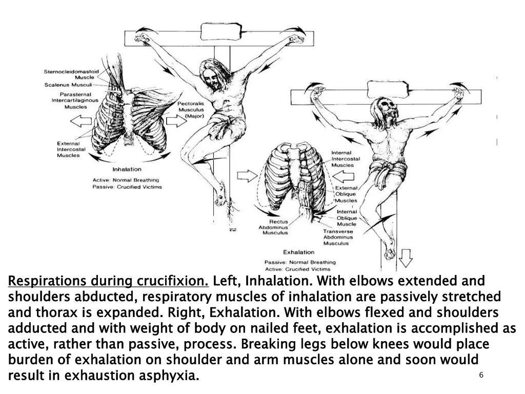 respirations during crucifixion shoulders
