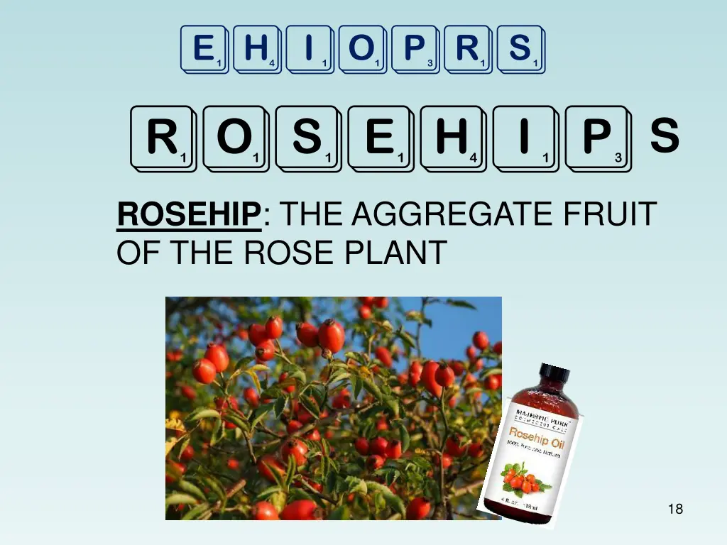ehioprs rosehip s
