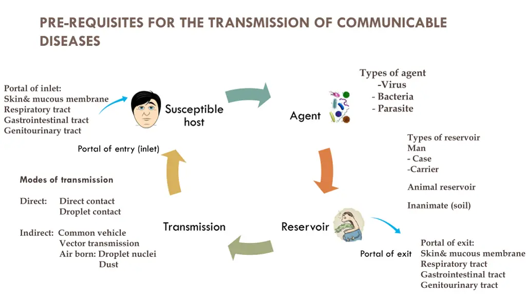 pre requisites for the transmission 2