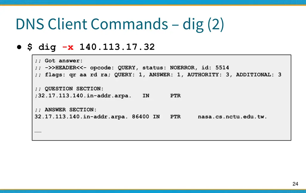 dns client commands dig 2