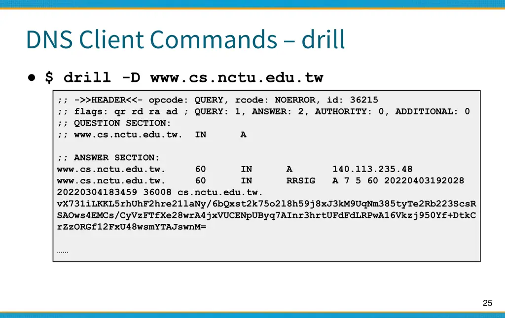 dns client commands drill