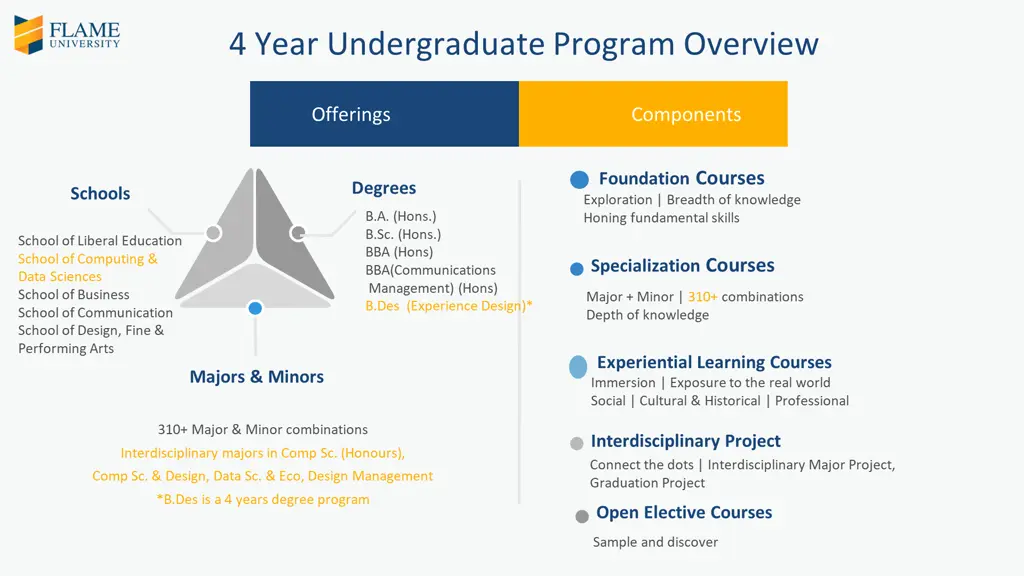 4 year undergraduate program overview