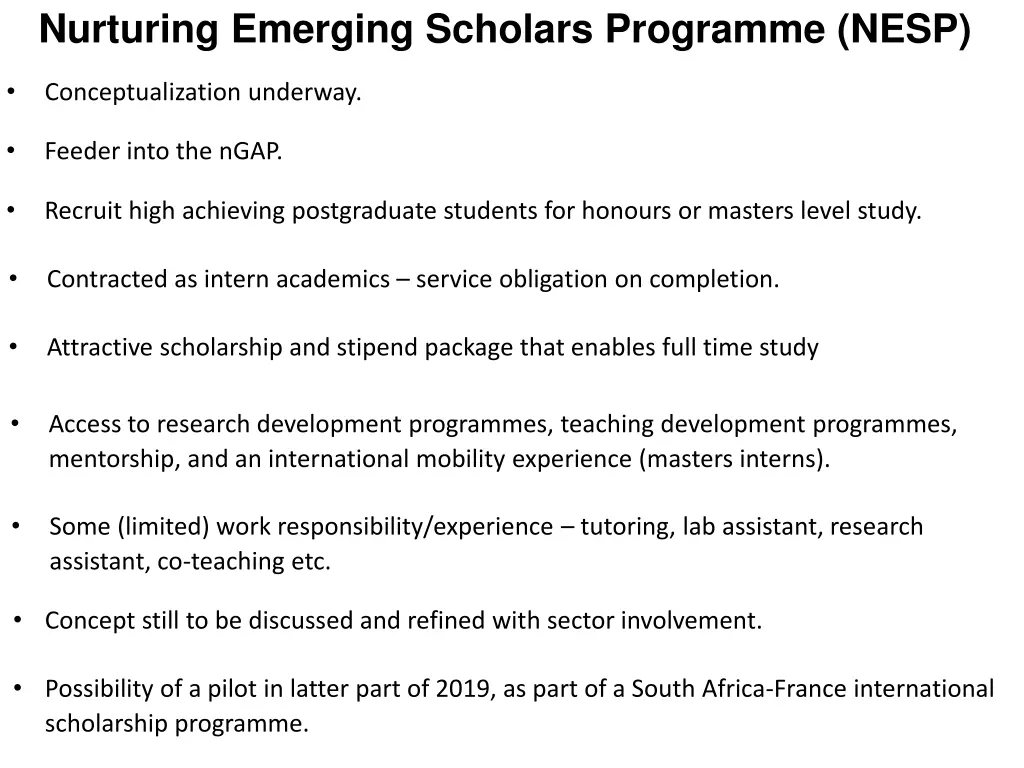nurturing emerging scholars programme nesp