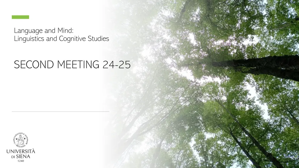 language and mind linguistics and cognitive