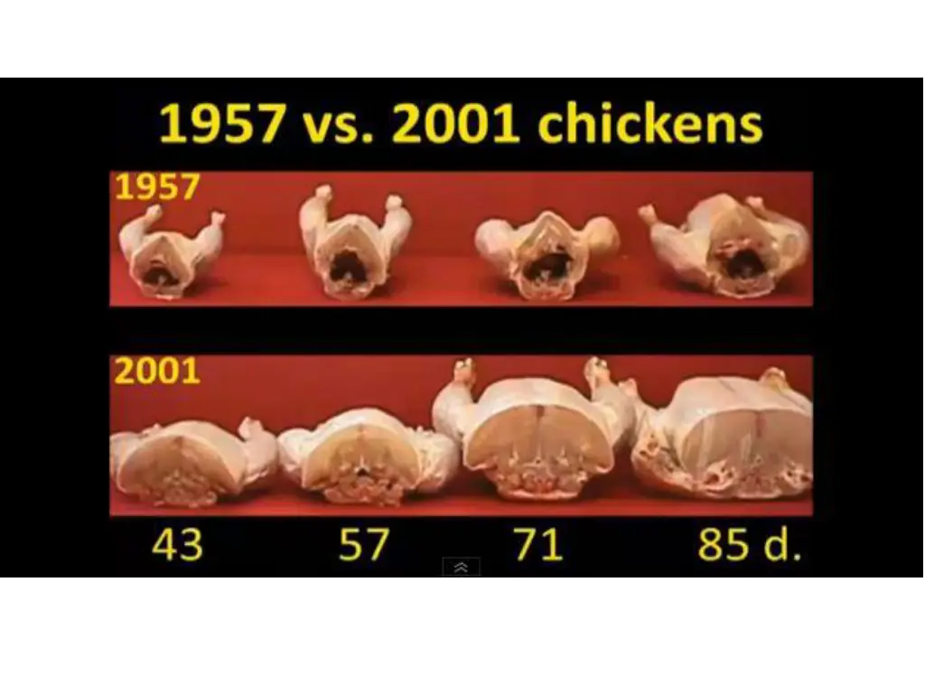 slide14