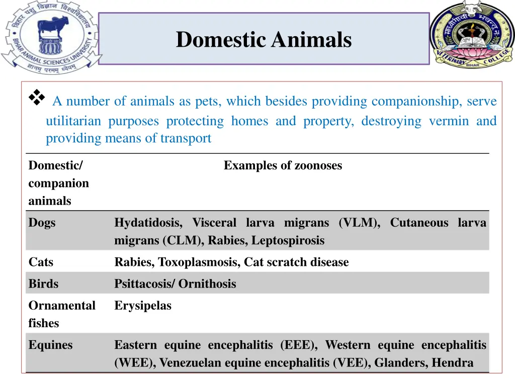 domestic animals