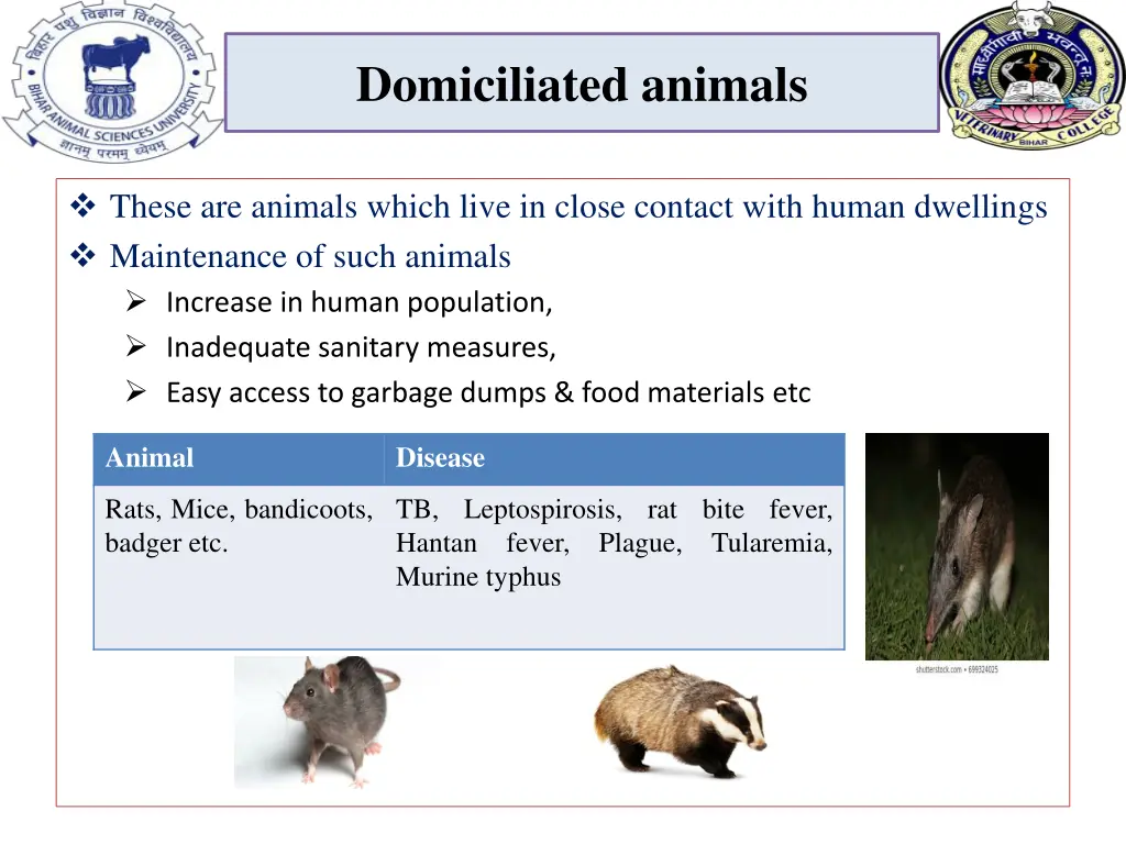 domiciliated animals