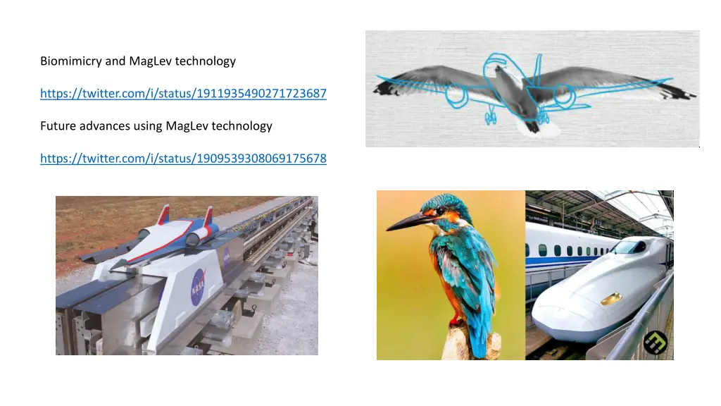 biomimicry and maglev technology