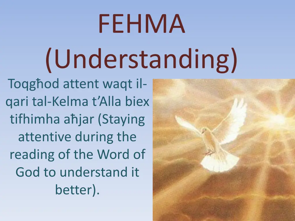 fehma