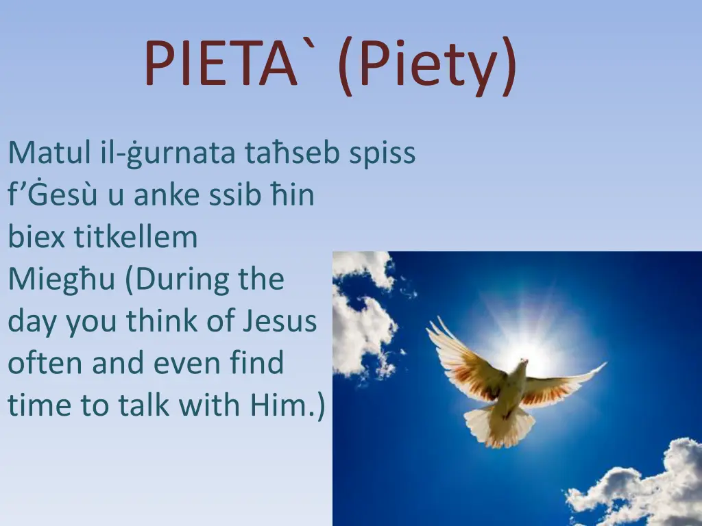 pieta piety