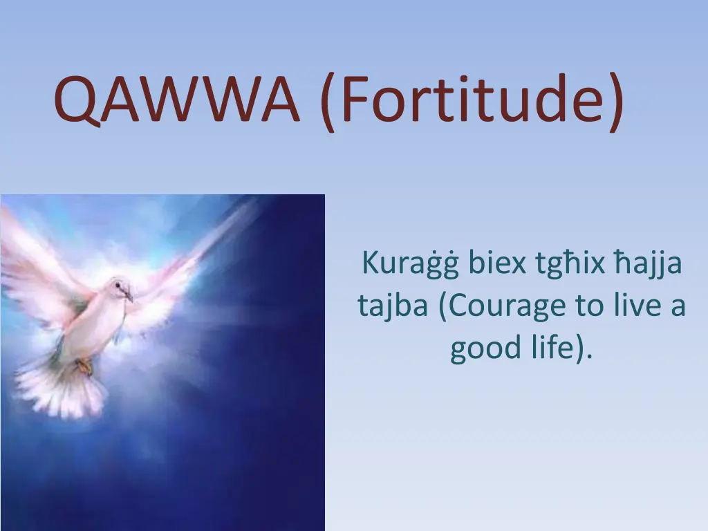 qawwa fortitude