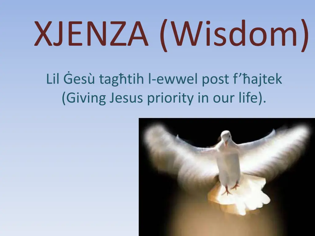 xjenza wisdom