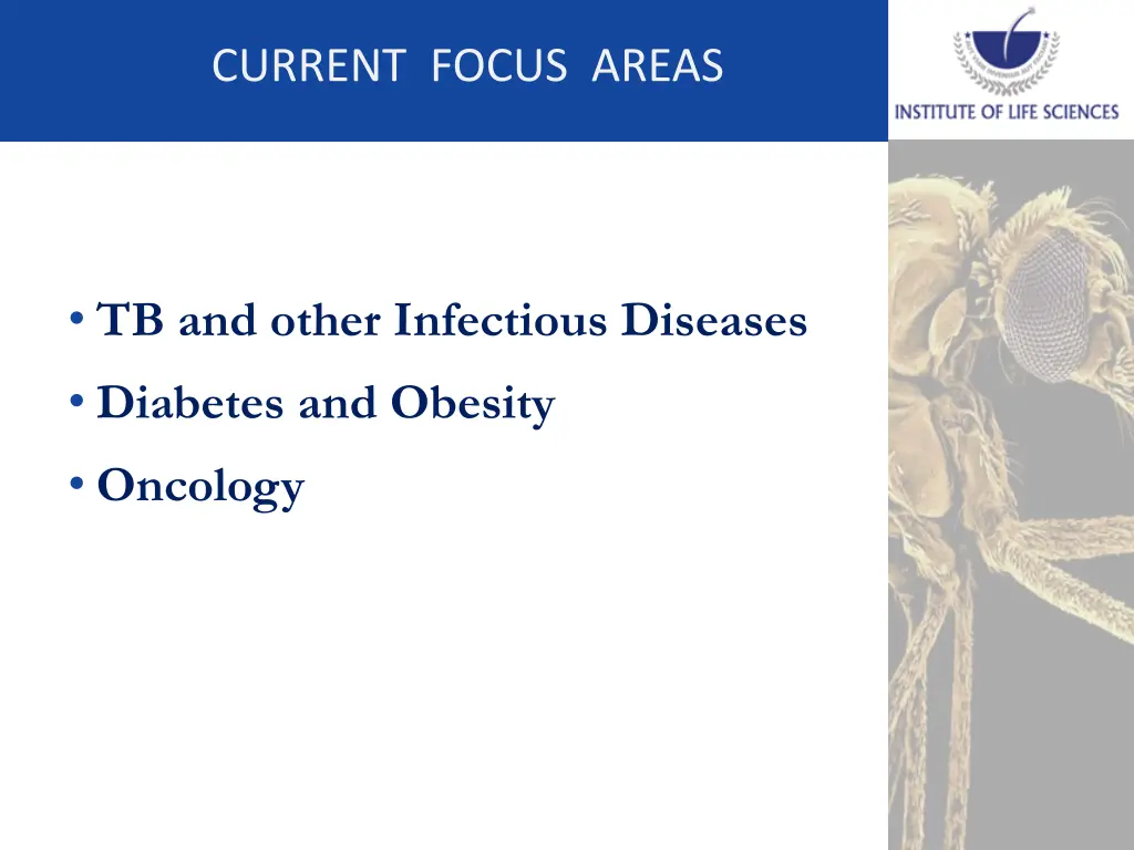 current focus areas current focus areas