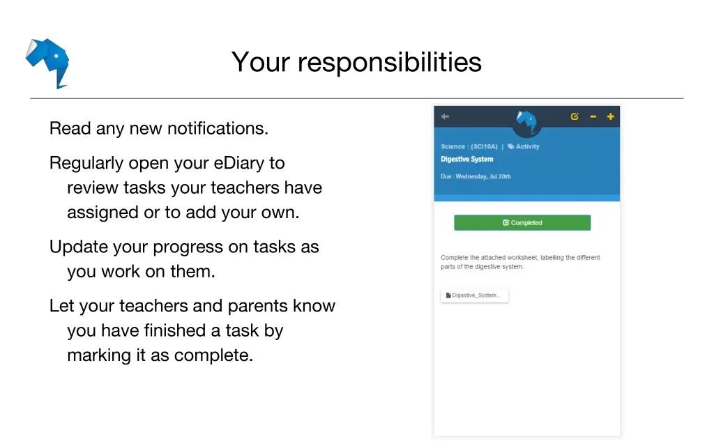 your responsibilities
