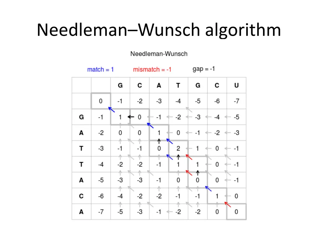 needleman wunsch algorithm