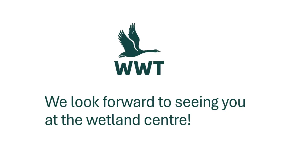 we look forward to seeing you at the wetland