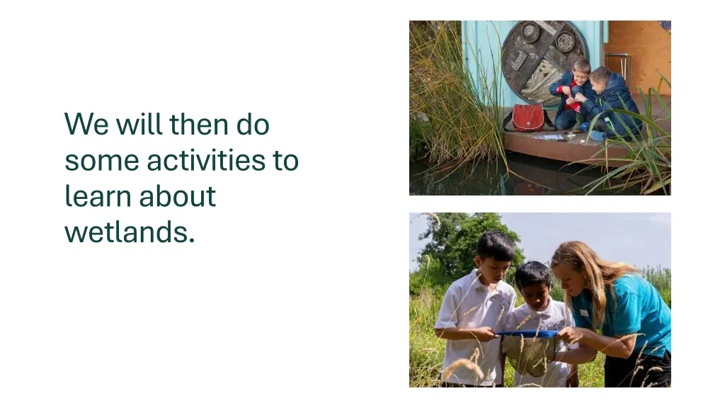 we will then do some activities to learn about