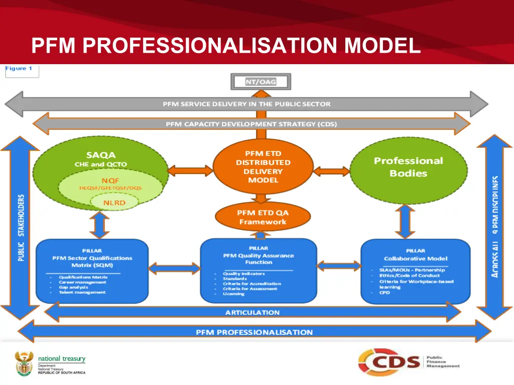 pfm professionalisation model
