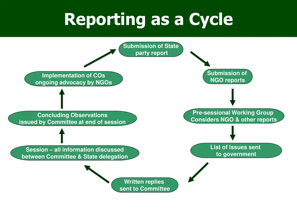 reporting as a cycle