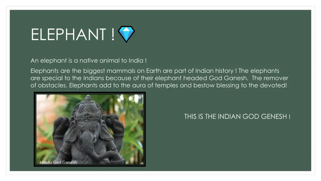 elephant