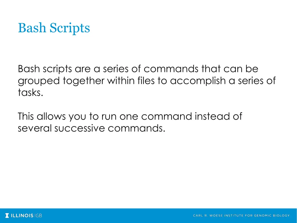bash scripts